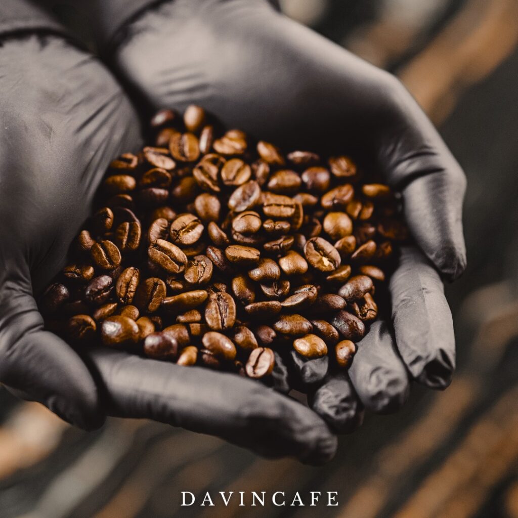 เมล็ดกาแฟคั่วคุณภาพสูงในมือบาริสต้าของ DAVIN CAFE วัตถุดิบสำคัญสำหรับการทำ cold brew ที่ให้รสชาตินุ่มลึก หวานธรรมชาติ กลิ่นหอมชัดเจน และเอกลักษณ์ของกาแฟสกัดเย็นระดับพรีเมียม